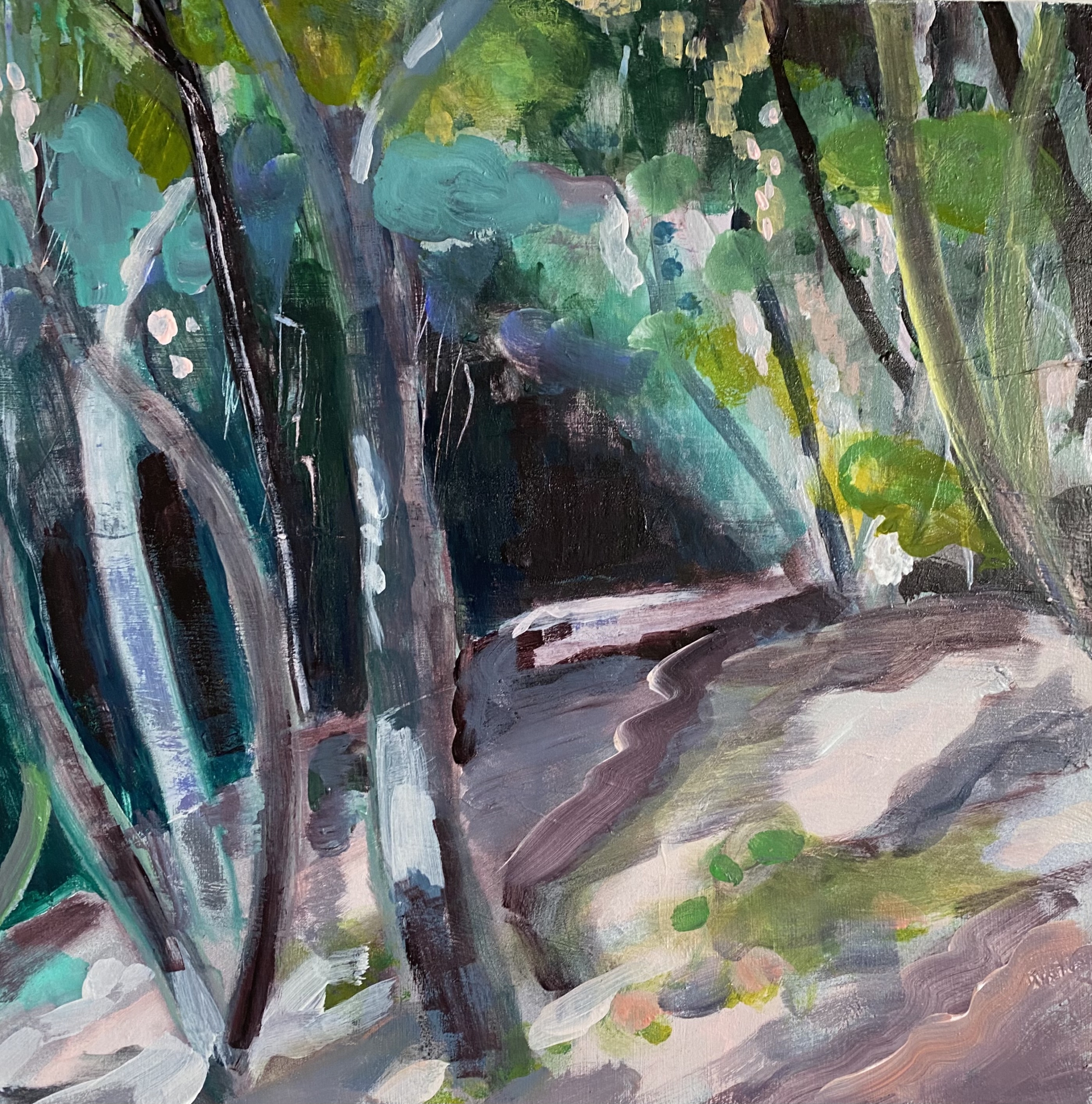 There is a Light: Houghton Bay Bush series #12, painting by Tara McGibbon