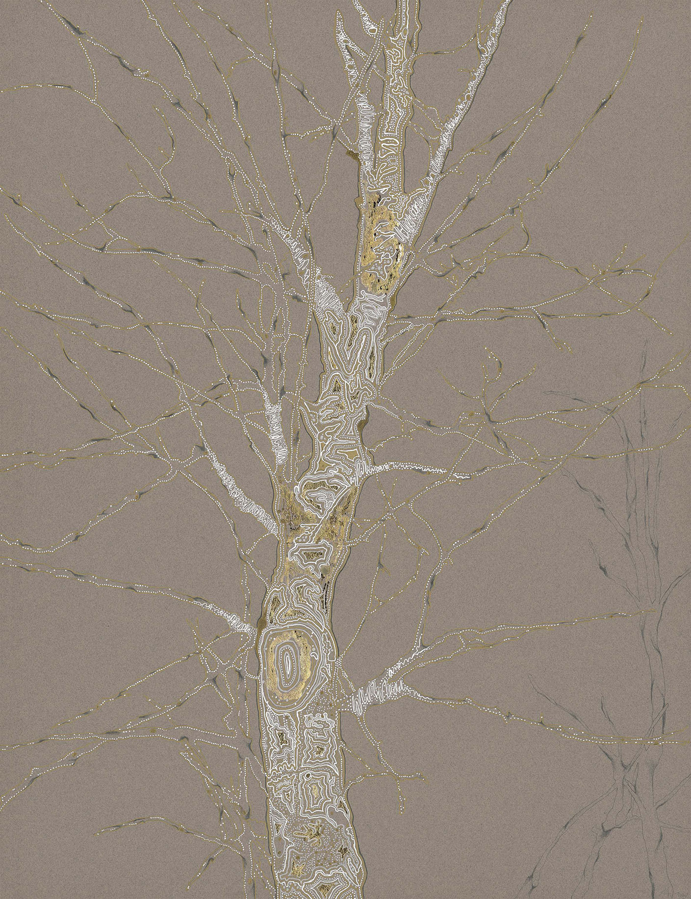 Birch Tree Study III, fine art print by Lux Eterna