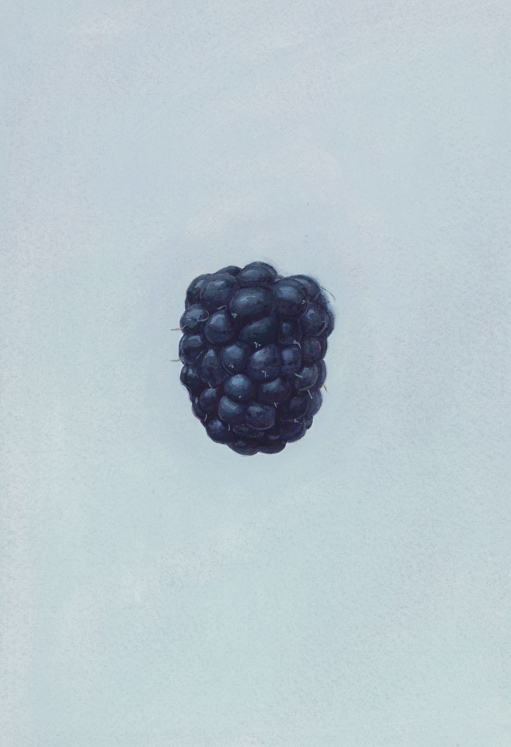 Blackberry, painting by Sheng Yi Lee
