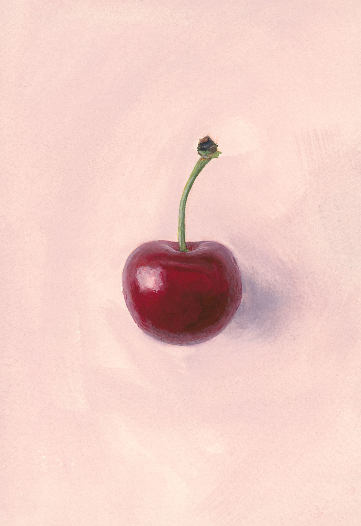 Cherry, painting by Sheng Yi Lee