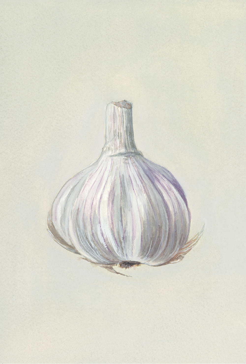 Garlic, gouache on paper by Sheng Yi Lee