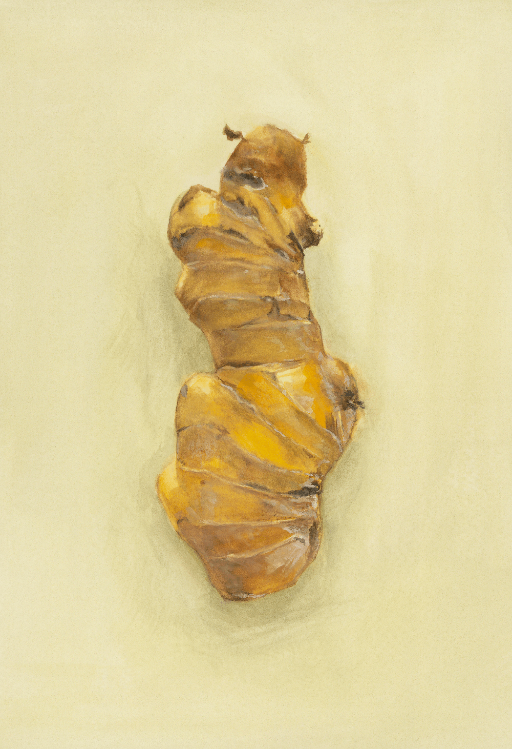 Ginger, gouache on paper by Sheng Yi Lee