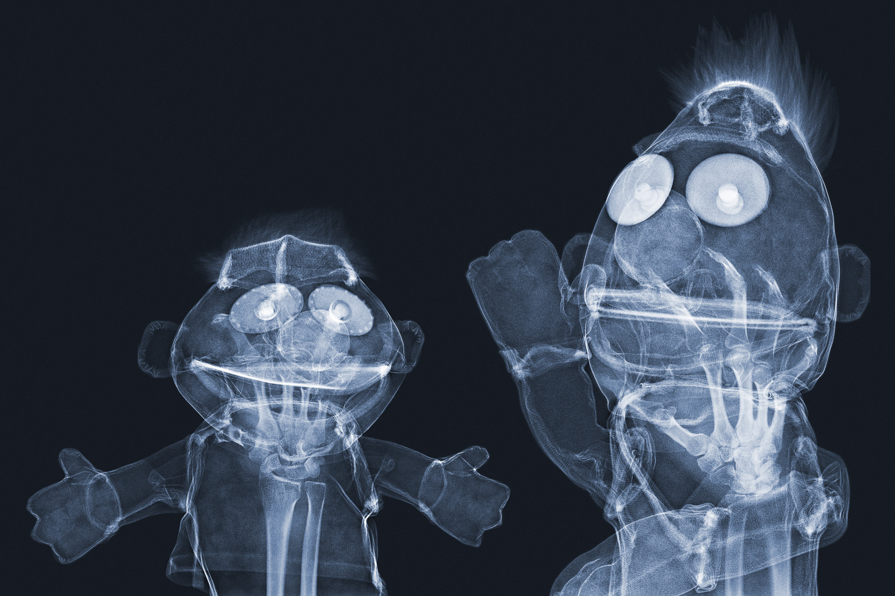 X-ray of Sesame Street Puppets – Bert & Ernie, print by Brendan Fitzpatrick